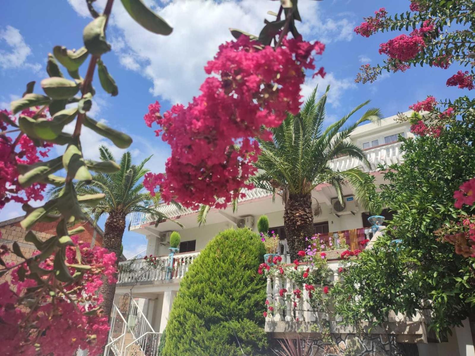 Apartments Radonjic Budva Exterior photo